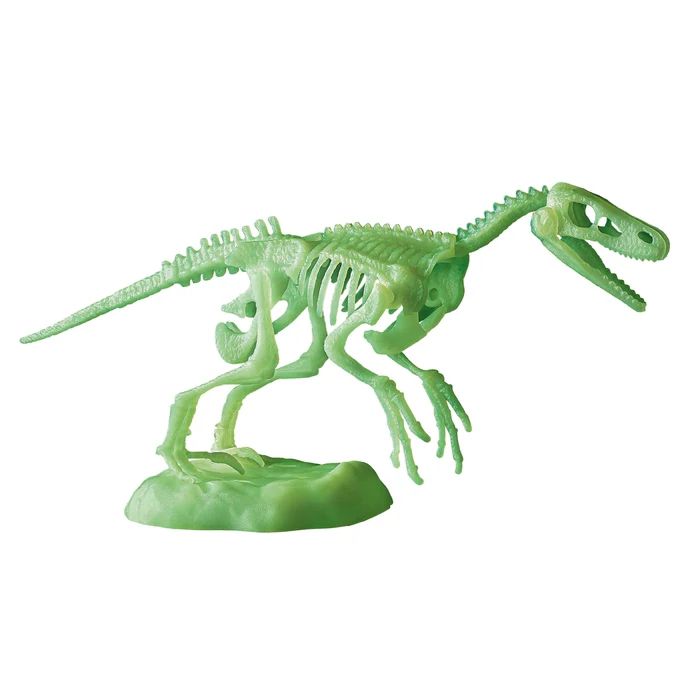 Clementoni Archeogiocando Velociraptor kit scavo scheletro fosforescente