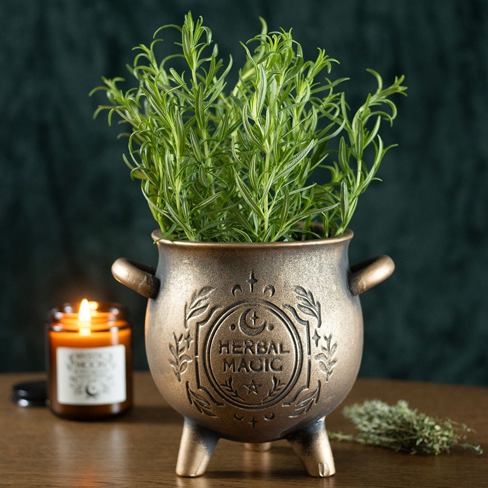 Herbal Magic Calderone Bronze vaso terracotta 15x20x17 cm erbe