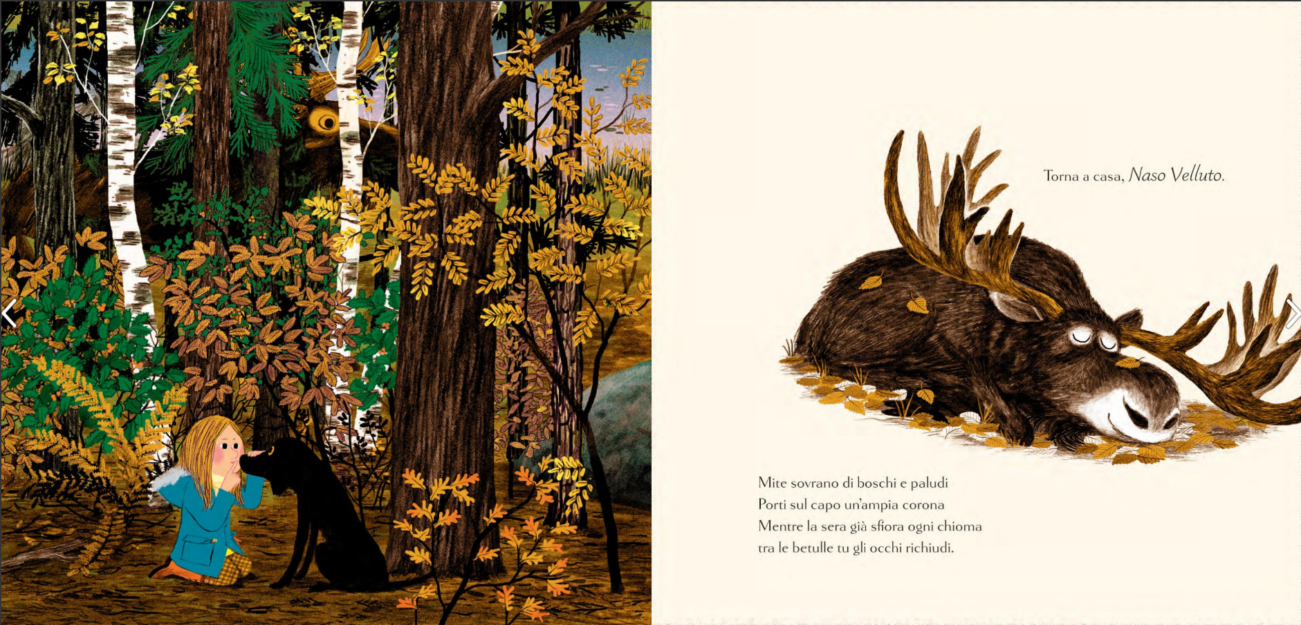 Terre di Mezzo Buonanotte bosco libro in versi 32 pagine