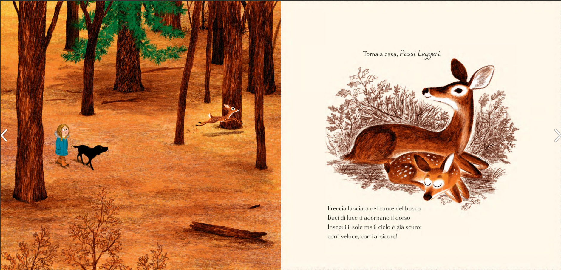 Terre di Mezzo Buonanotte bosco libro in versi 32 pagine