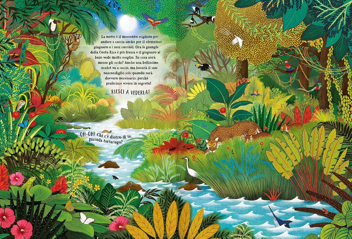 Emme Edizioni La giungla segreta libro bambini 5 anni rigida
