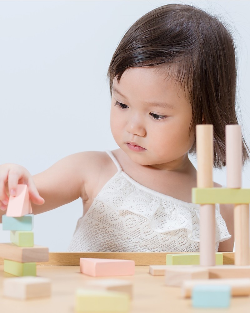 Plan Toys Costruzioni pastello mattoncini legno 40 pezzi