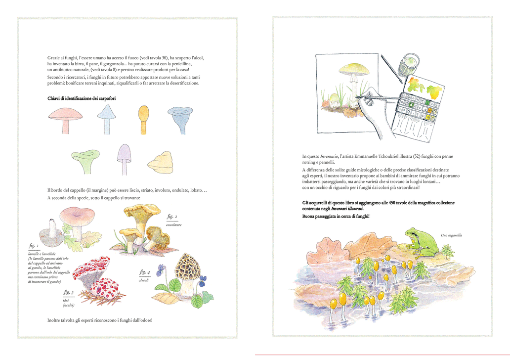 Ippocampo Inventario Illustrato dei Funghi libro 88 pagine