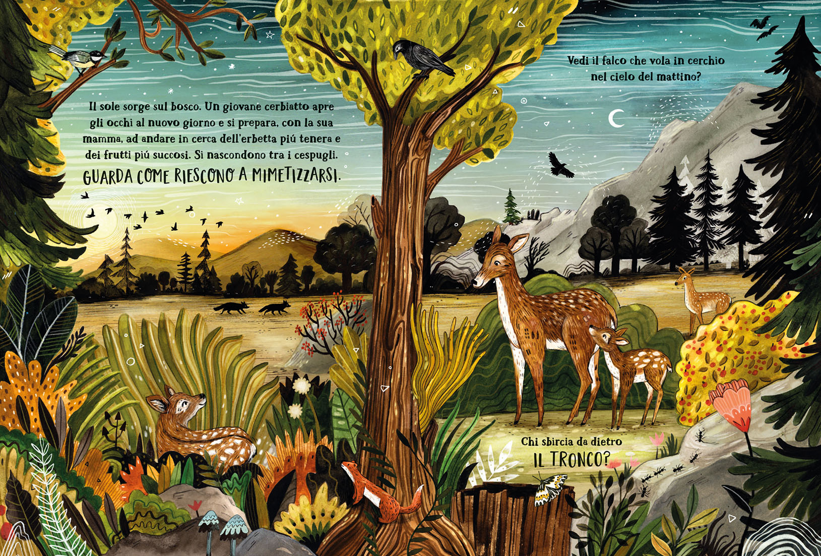Emme Edizioni Il Bosco Segreto libro bambini 5 anni