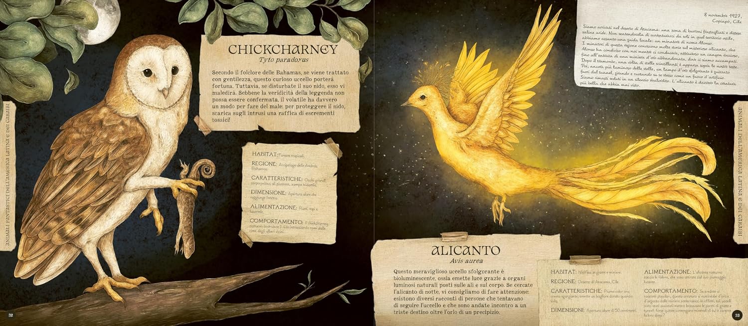 Il Castello Enciclopedia animali fantastici libro 64 pagine