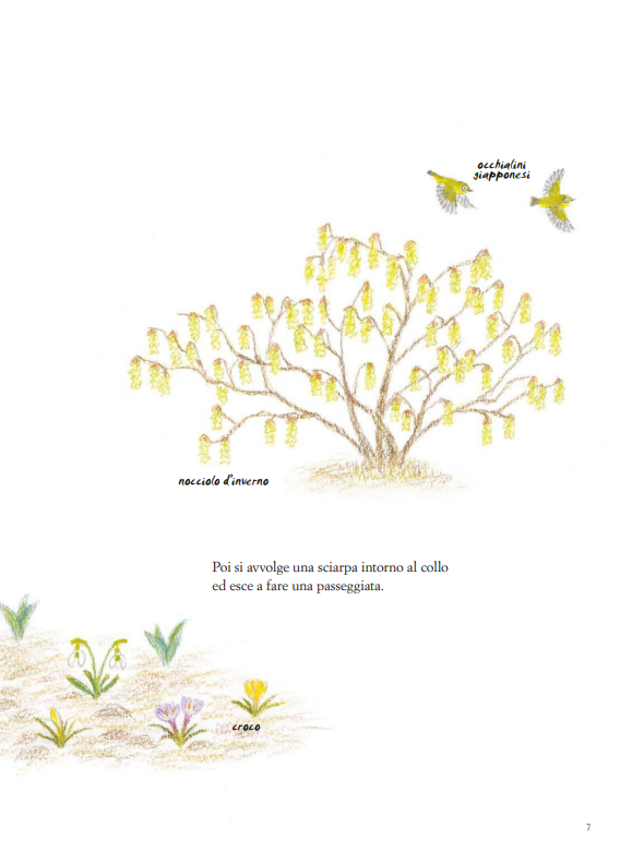 Fabbri Fiori che sbocciano e raggi di sole libro 48 pagine 3-6 anni
