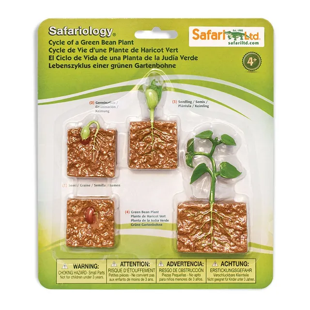 Safari Ltd ciclo fagiolino set 4 figure educative